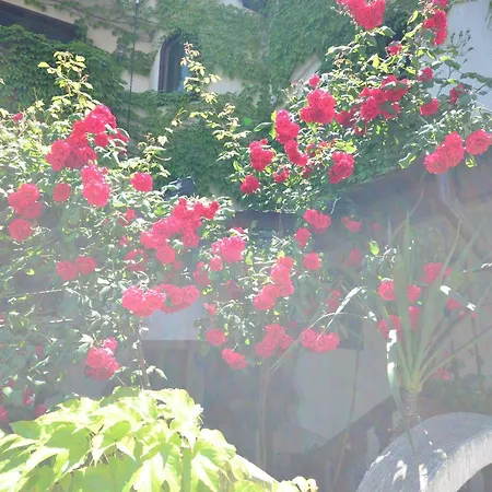 Family Hotel Sozopol